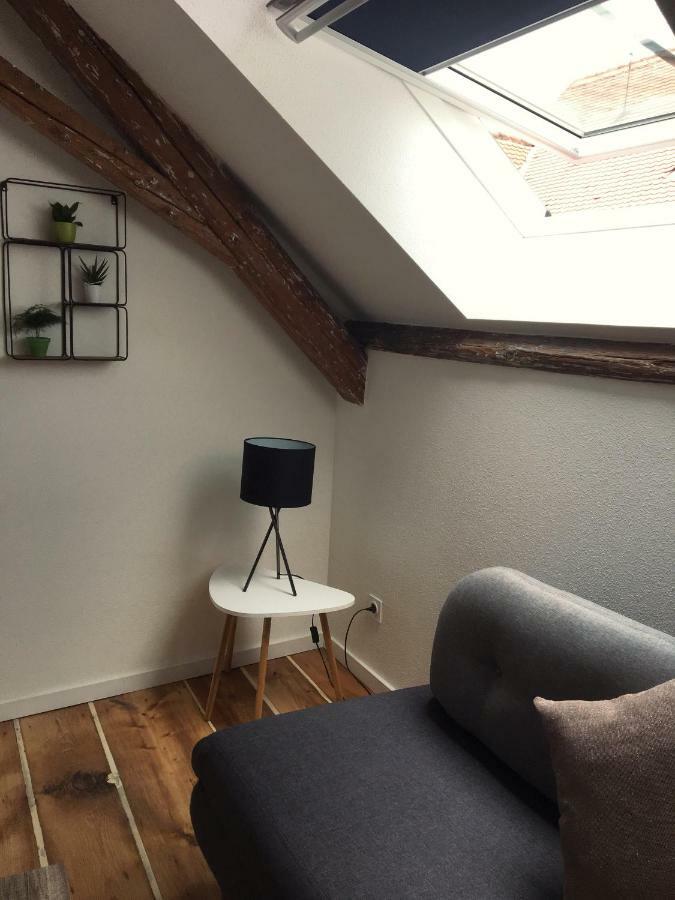 L'ours Appartement *