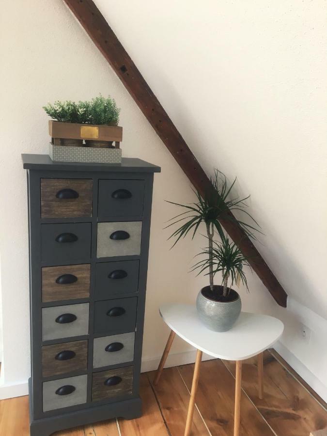Appartement L'ours Colmar