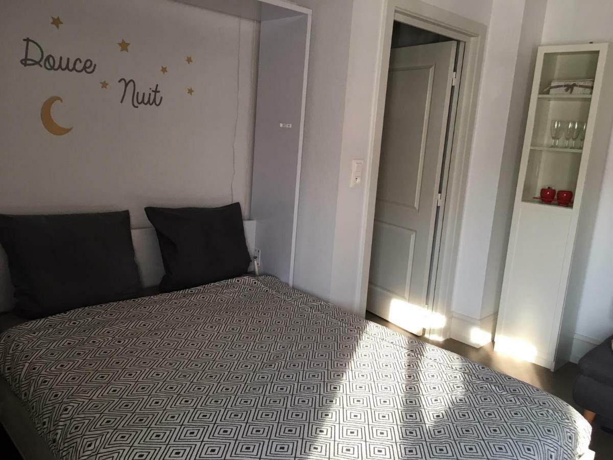 Coeur D'elsass Rappappartement Avec Parking Appartement *