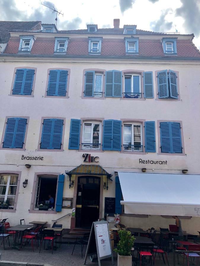 Appartement Sous Les Toits Du Zinc - Climatisé *