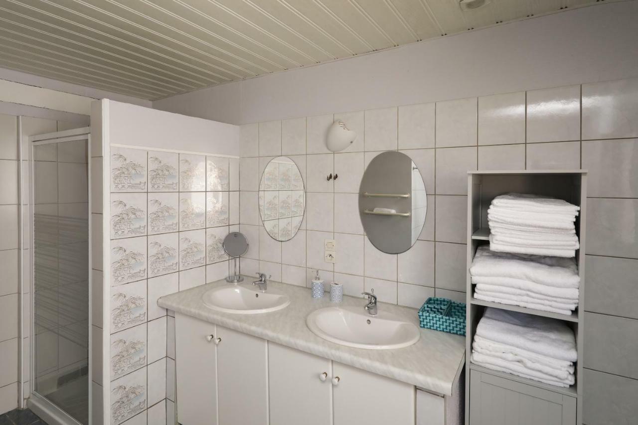 Maison Centre Jacuzzi Jardin Et Climatisation * Colmar