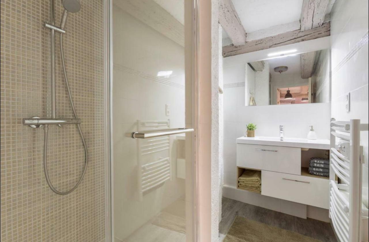 Apartment L'atelier Des Tanneurs De Charme Hypercentre Colmar