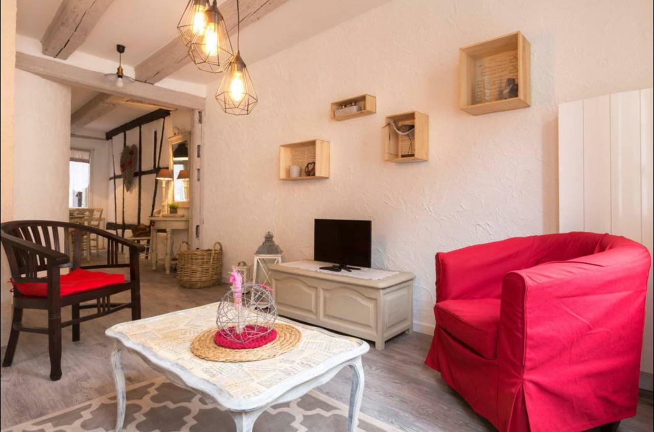 L'atelier Des Tanneurs De Charme Hypercentre Colmar