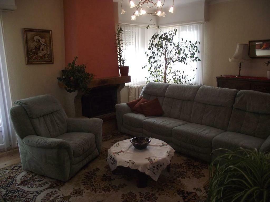 Bel Lumineux Appartement