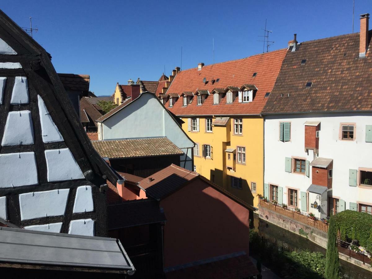 Duplex 15 * Colmar