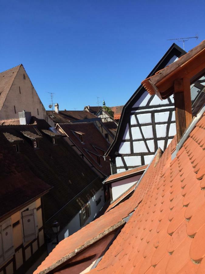 Duplex 15 * Colmar