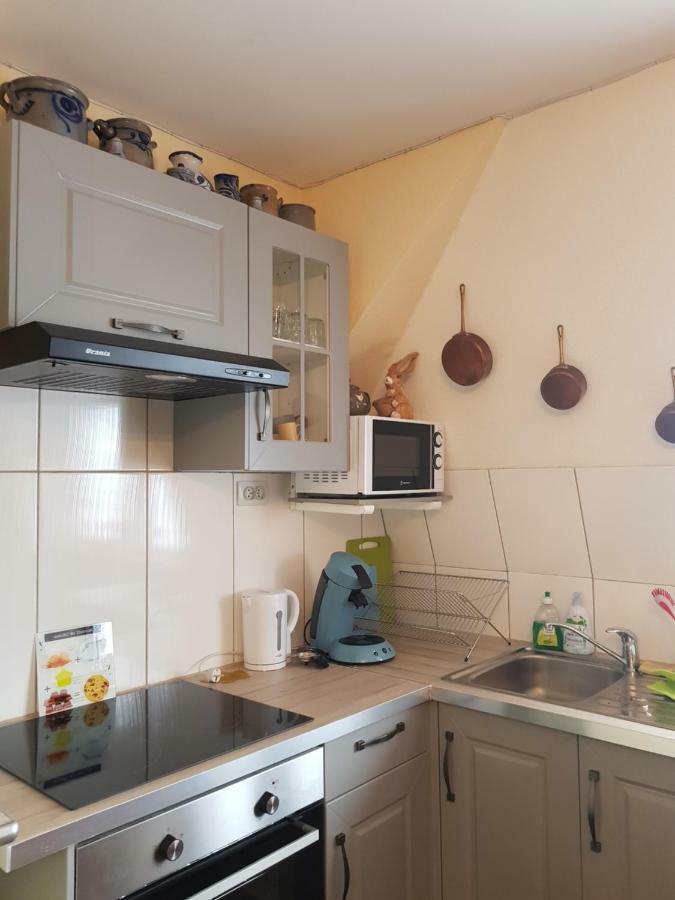 Appartement Ganzaliesele Colmar
