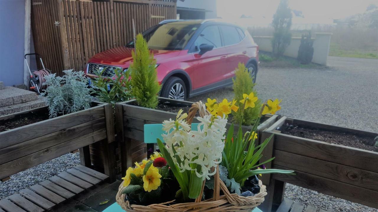 Les Lilas Gasthof Colmar
