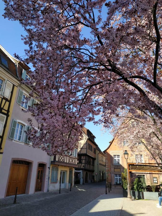 Hébergement de vacances Au Brochet Colmar