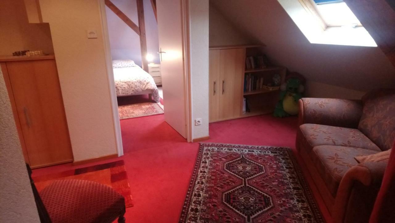 Bel Lumineux Appartement *