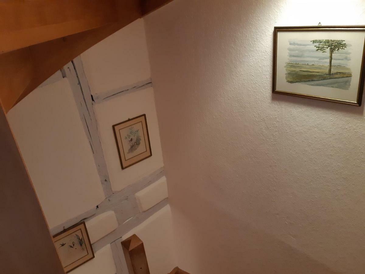 Appartement Margot - Hyper Centre