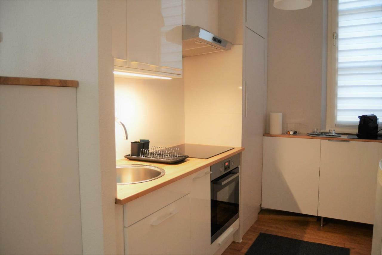 Appartement Le Voltaire Centre Colmar