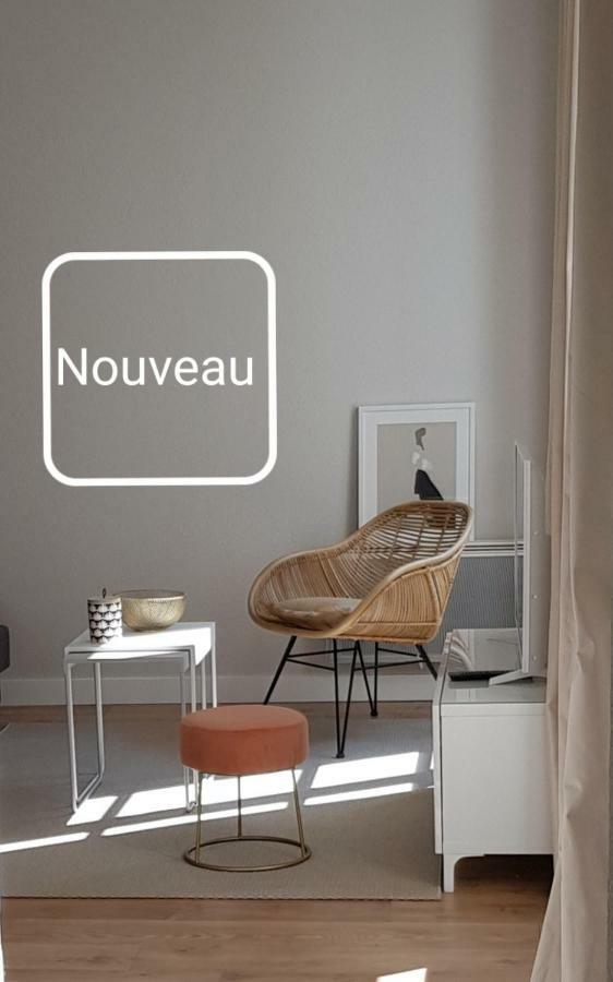 Le Voltaire Centre Appartement Colmar