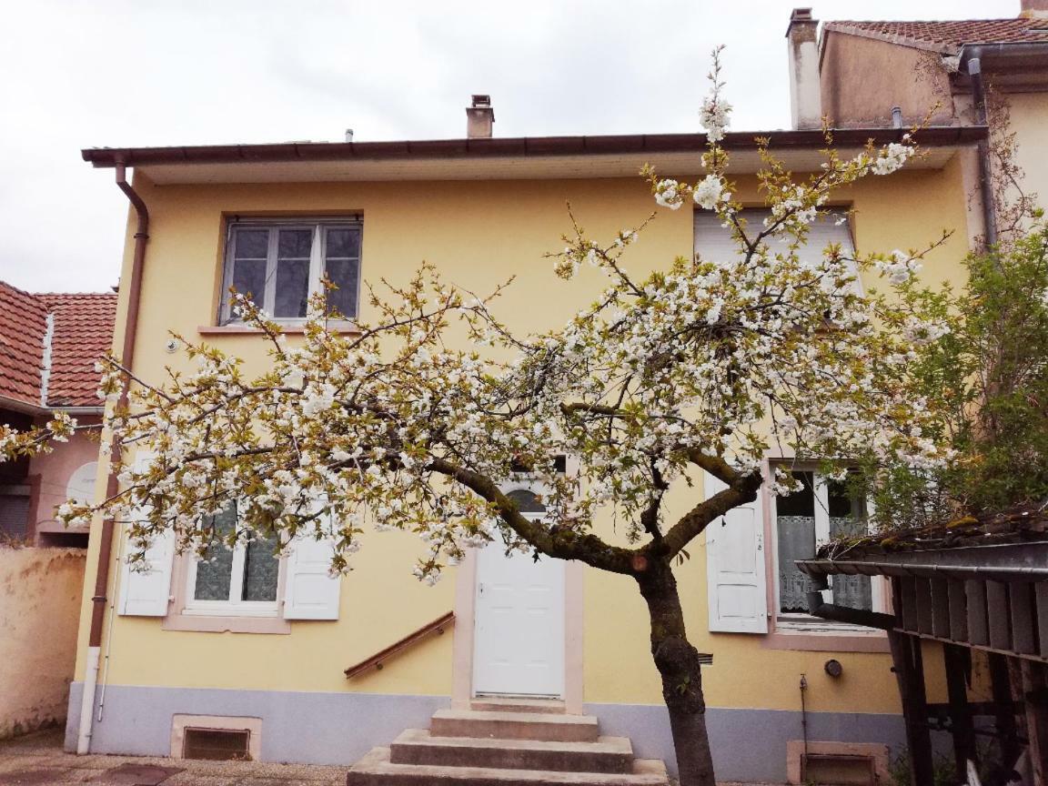 Appartement Avec Jardin A *
