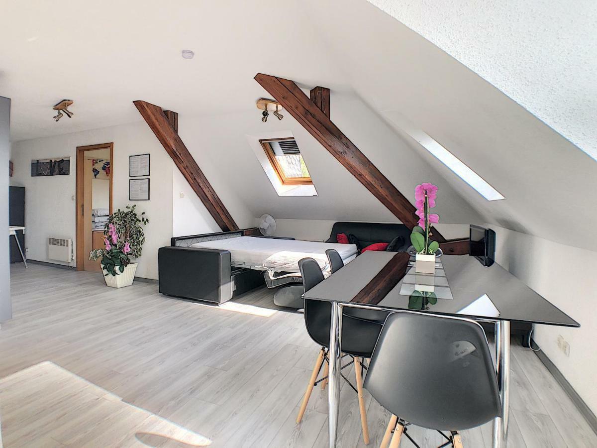 Appartement Agréable à Deux Pas De La Gare Colmar