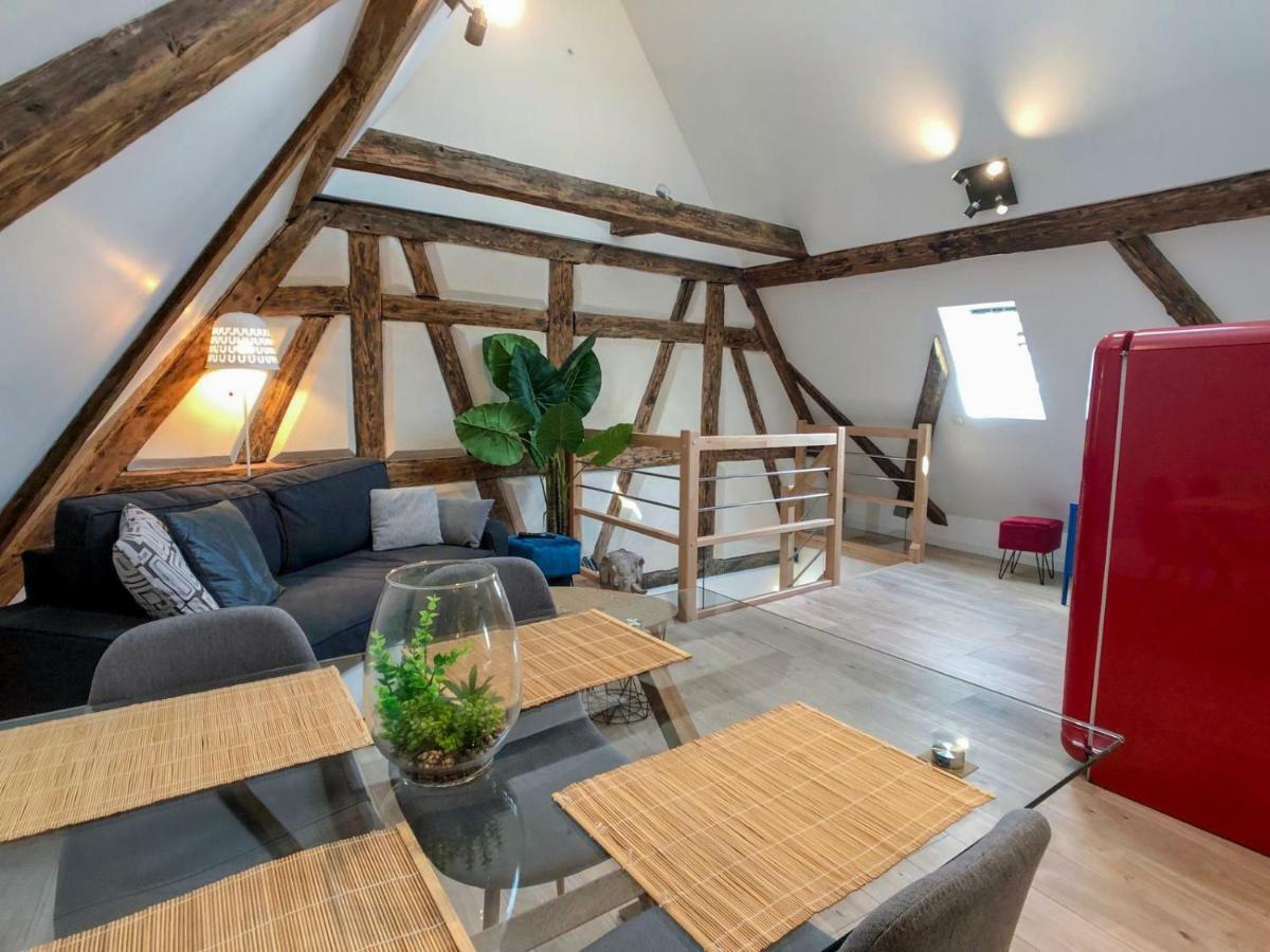 Beauty & The Beast - Old Town Cosy Colmar