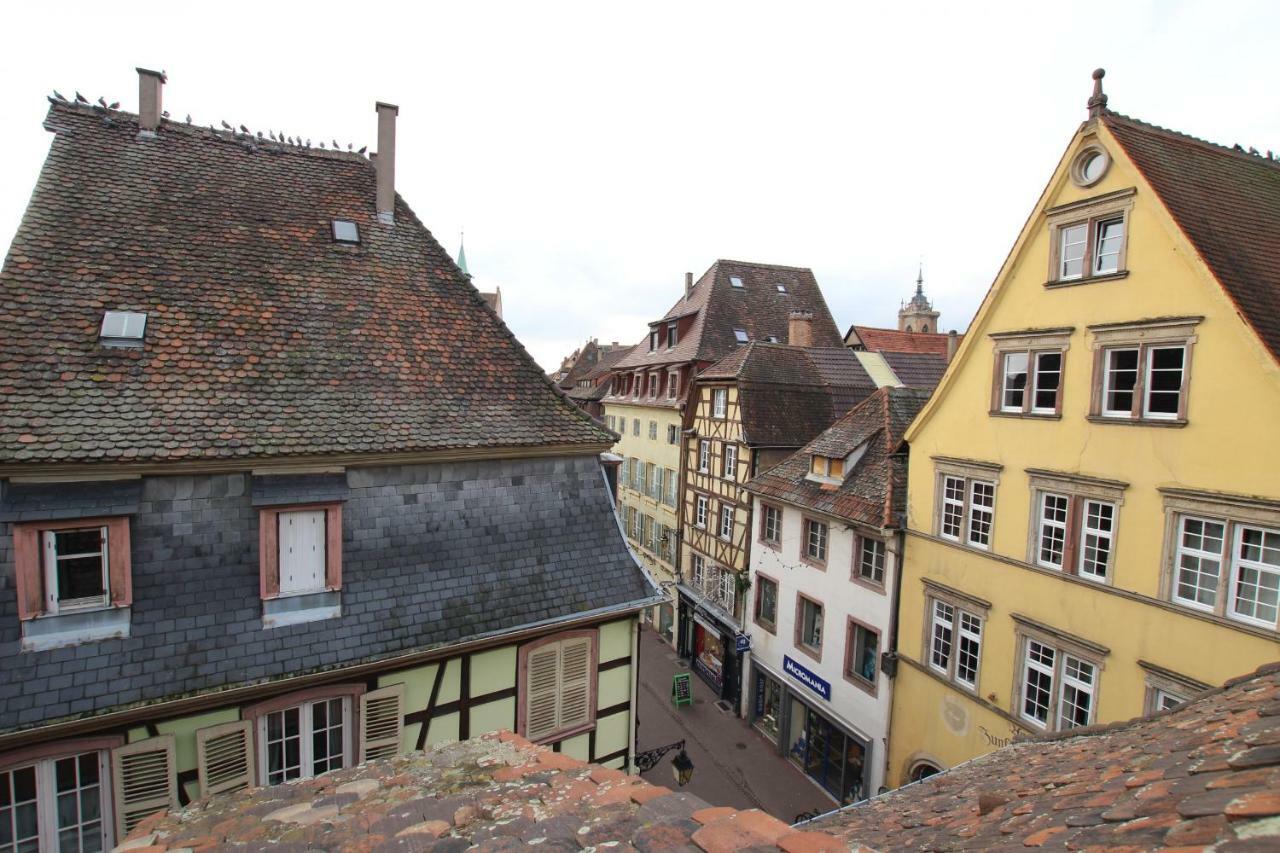 Apartment Center - Petit Ours - Bookingalsace *