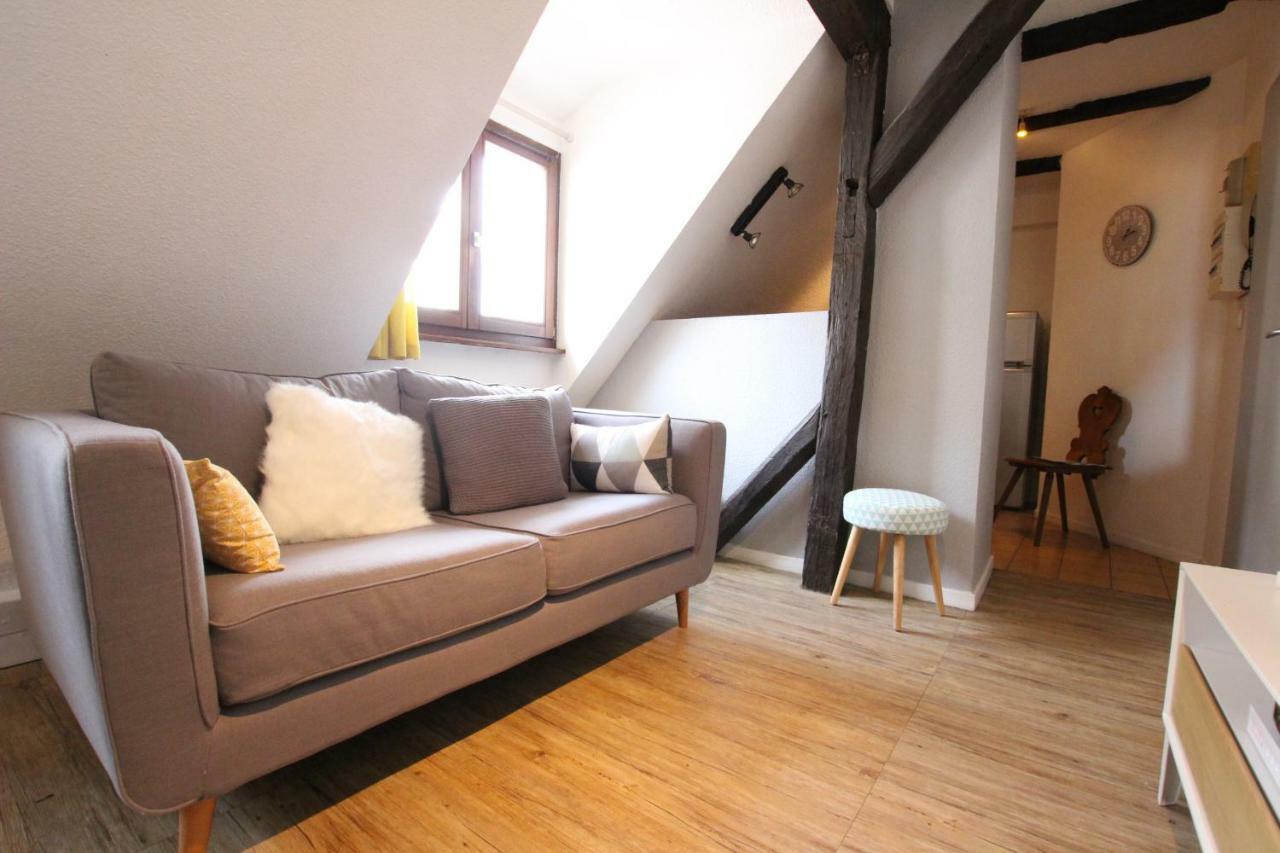 Center - Petit Ours - Bookingalsace Colmar