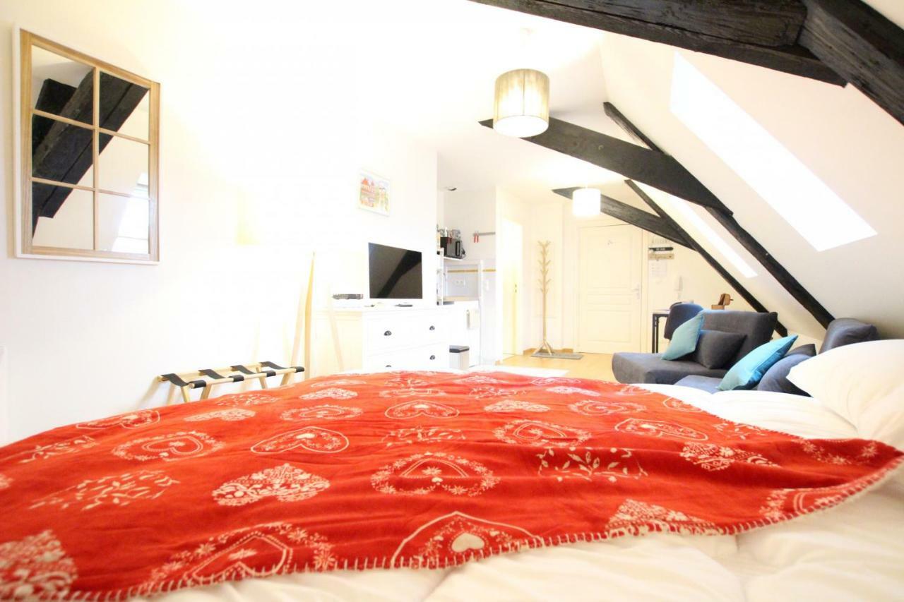 Historic Center - Cosy Studio Petit Cathedrale 1 - Bookingalsace * Colmar