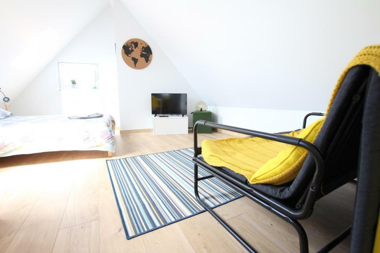 Historic Center - Belle Alsace - Duplex 6 - Bookingalsace Apartment