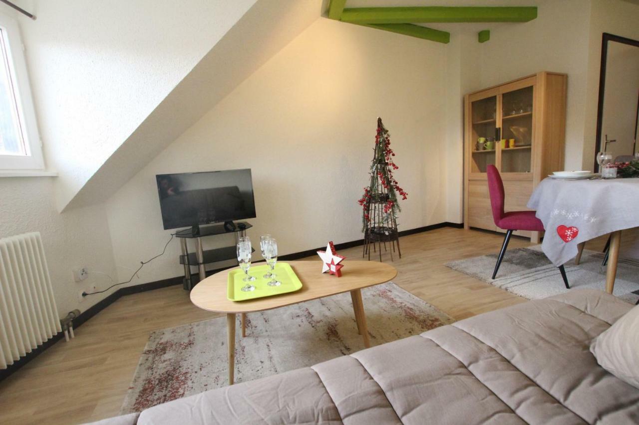 Historic Center - Cosy Turenne 2 - Bookingalsace *