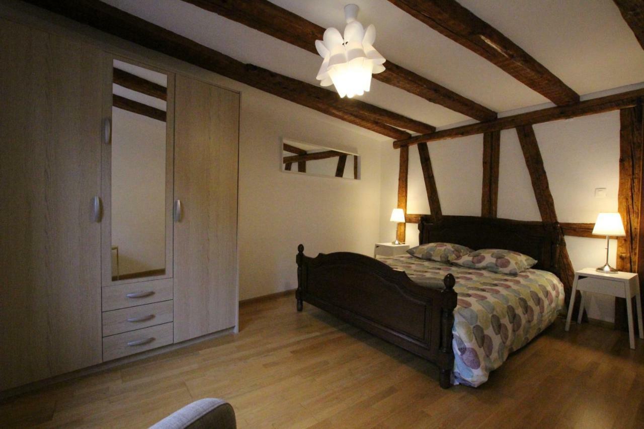 Historic Center - Alsacian Petite Venise 2 - Bookingalsace *