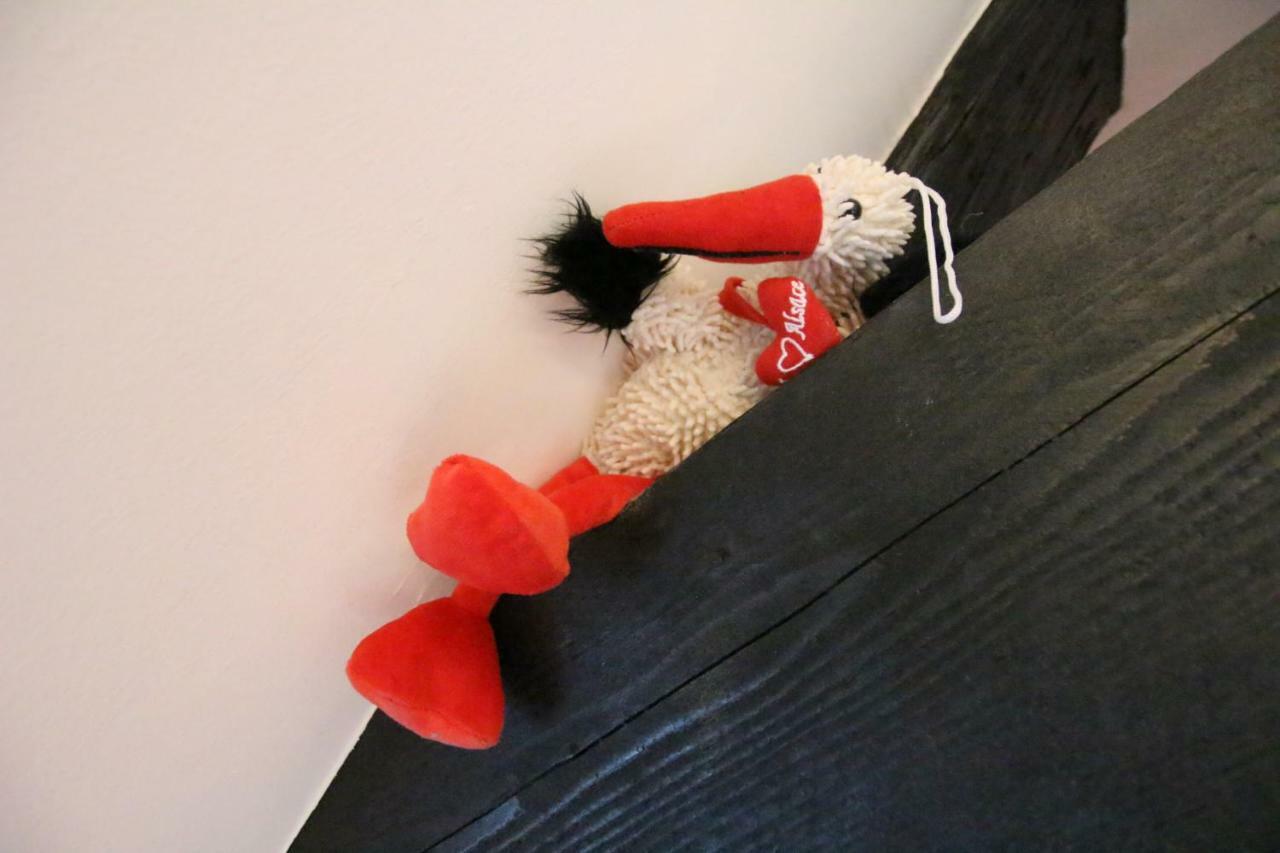 Apartment Historic Center - Cosy Studio Petit Cathedrale 1 - Bookingalsace *