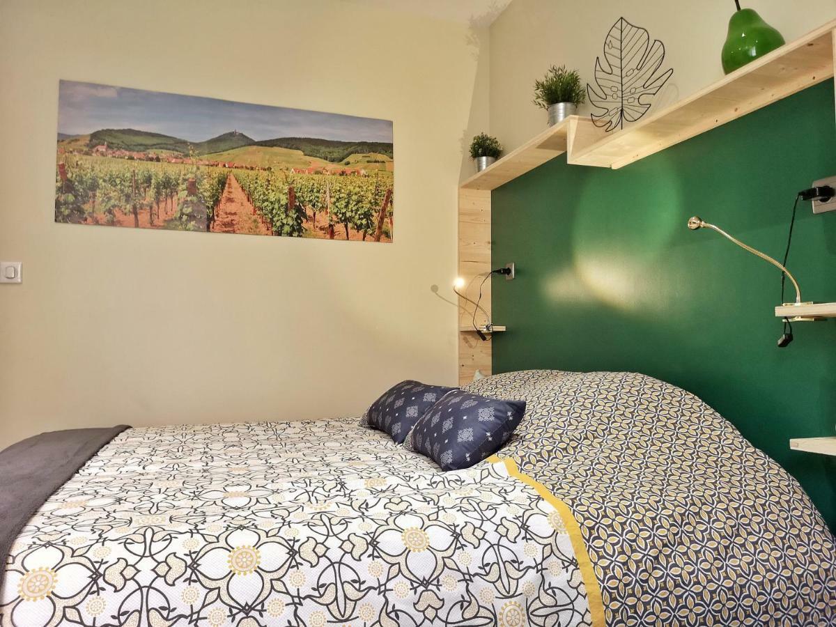 Appartement Splendide Centre Colmar