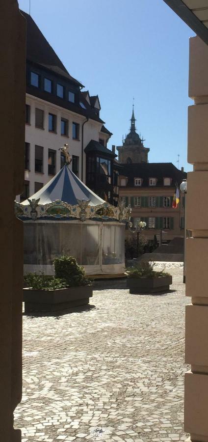 Appartement Schongauer Hypercentre Avec Garage à Colmar