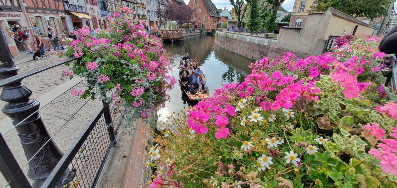 La Petite Venise 3pièces Lit King Size Free Parking * Colmar