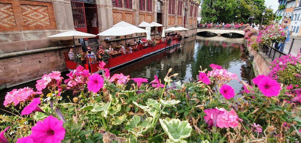 La Petite Venise 3pièces Lit King Size Free Parking Appartement Colmar