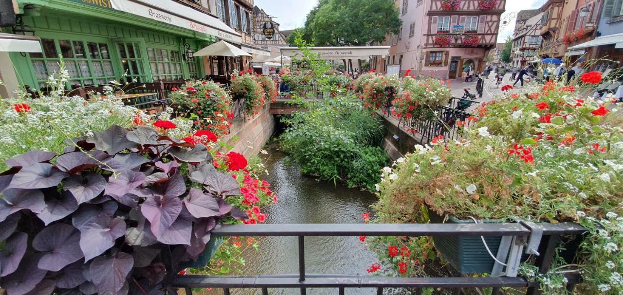 La Petite Venise 3pièces Lit King Size Free Parking Colmar