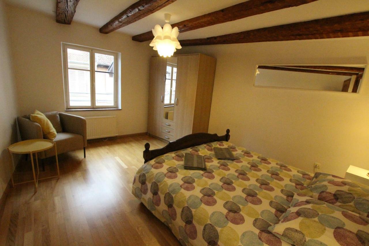Historic Center - Alsacian Petite Venise 2 - Bookingalsace Colmar