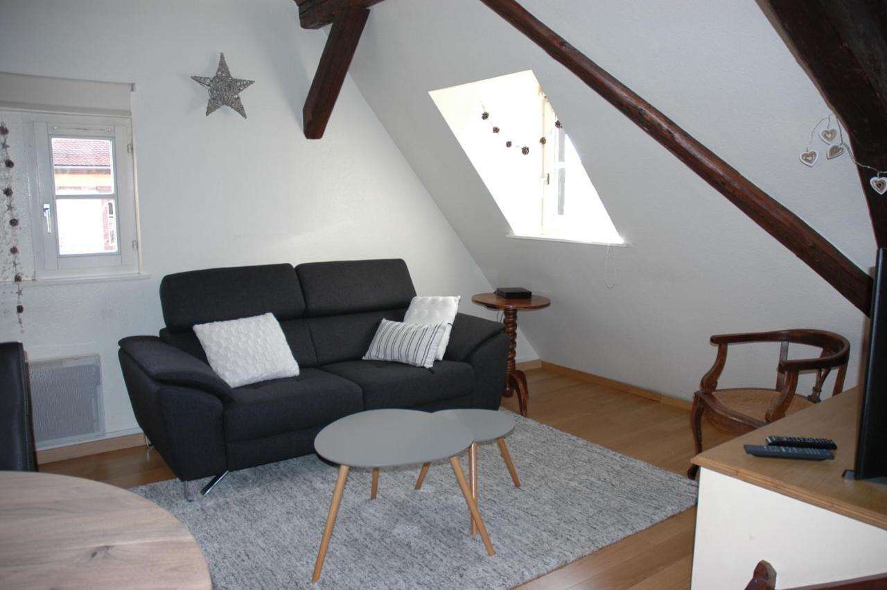Appartement A Colmar