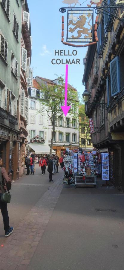 Apartment Hello Colmar, Duplex Cathedrale, Historic Center *