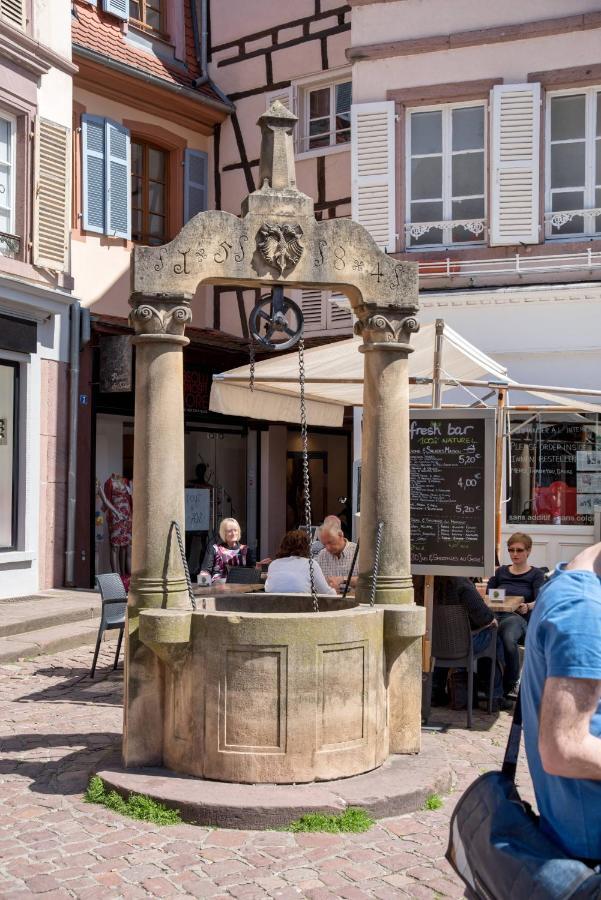 Duplex Des Dominicains - 1 Parking Gratuit - Hypercentre 6 Personnes * Colmar