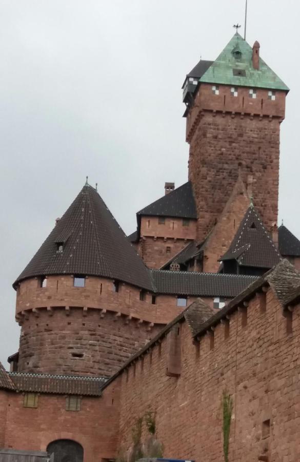 Au Coeur D'alsace Apartment *