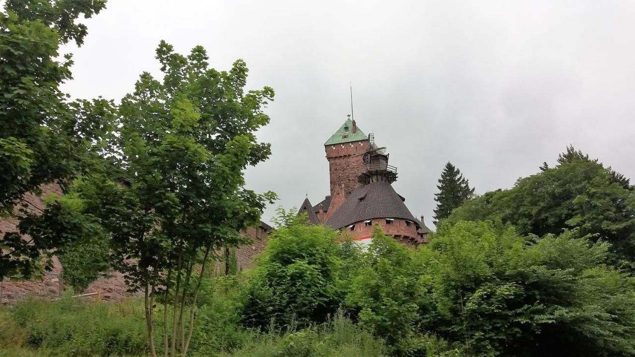 Apartment Au Coeur D'alsace