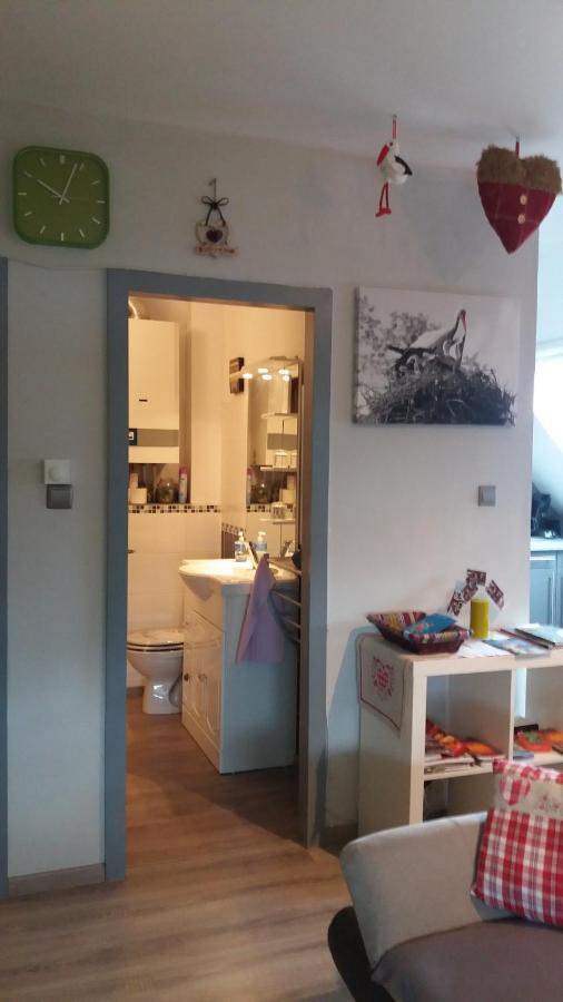 Apartment Au Coeur D'alsace *