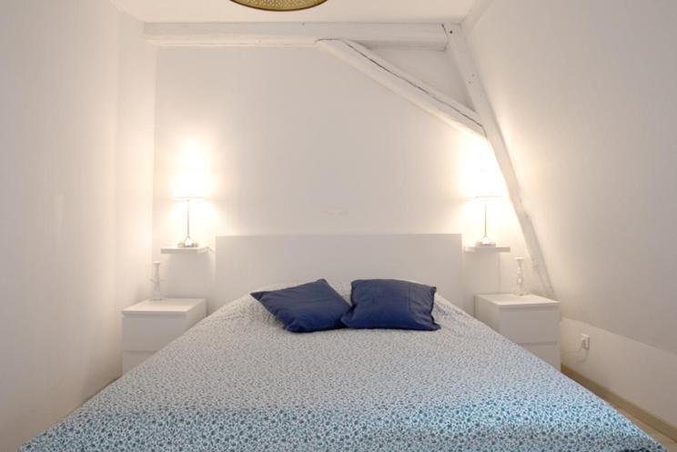 Hébergement de vacances Petite Venise Grand Duplex Turenne Hyper Centre Colmar