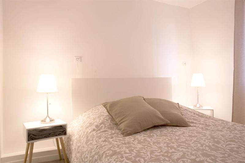 Petite Venise Grand Duplex Turenne Hyper Centre Hébergement de vacances *