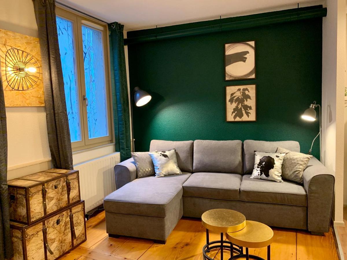 Des 2 Tetes Apartment Colmar