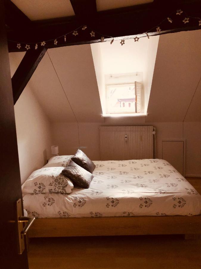 Appartement Le Petit Colmarien Hyper-centre Colmar