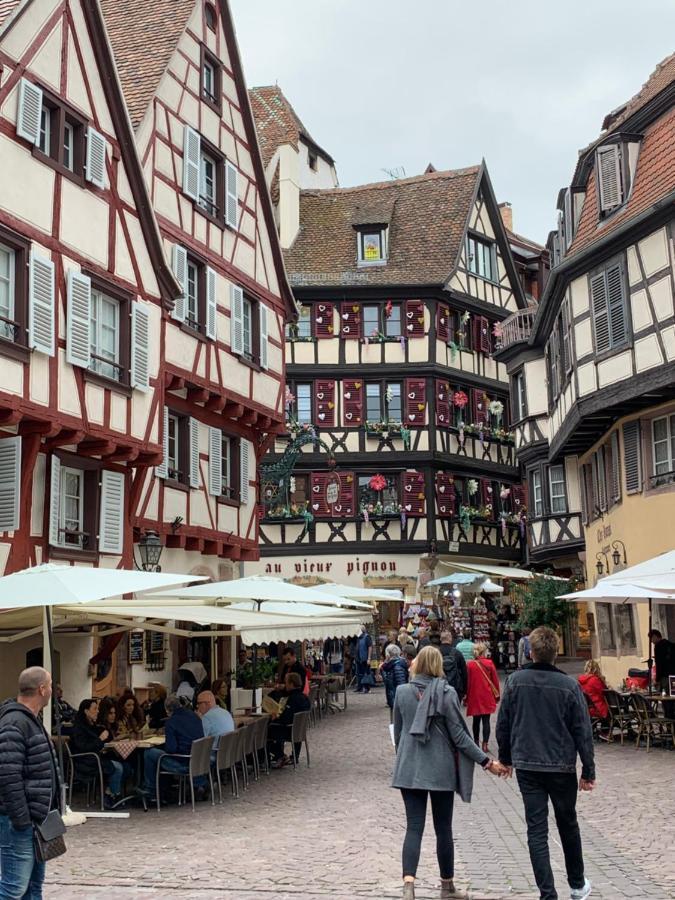 Apartment Historical Town Center Spacious Flat Colmar