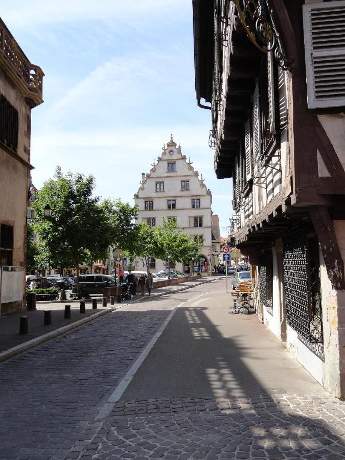 Apartment Historical Town Center Spacious Flat Colmar