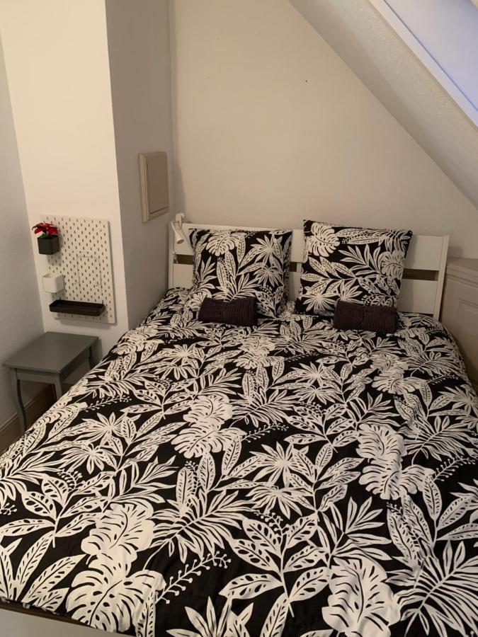 Apartment Historical Town Center Spacious Flat Colmar
