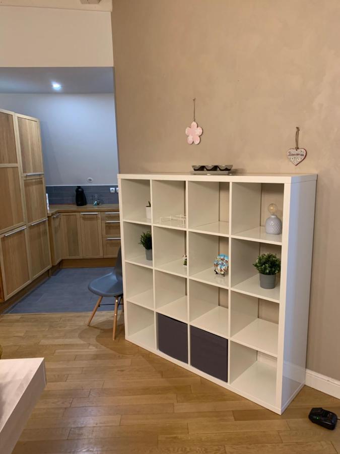Historical Town Center Spacious Flat * Colmar