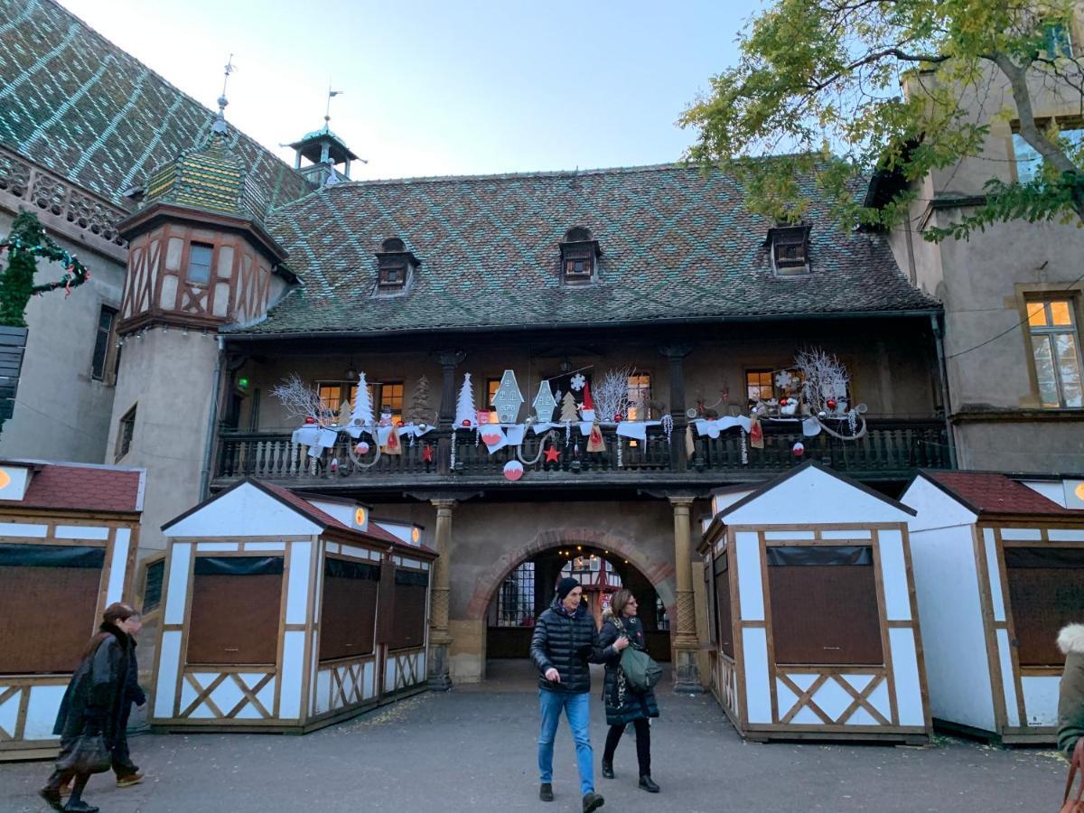 Apartment Historical Town Center Spacious Flat Colmar