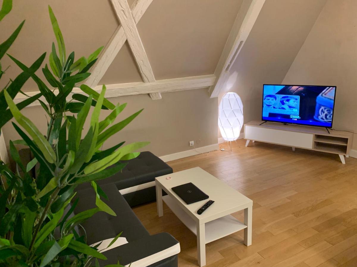 Historical Town Center Spacious Flat