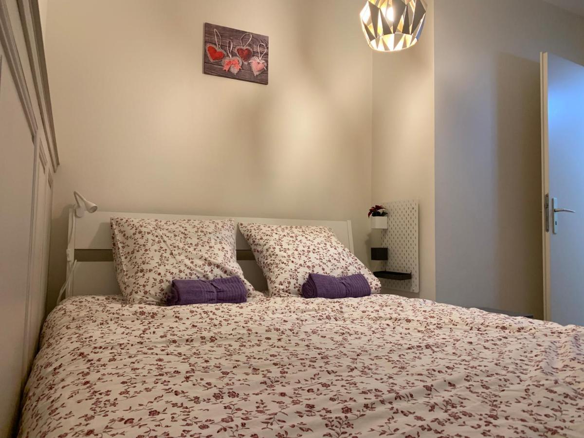 Historical Town Center Spacious Flat Colmar